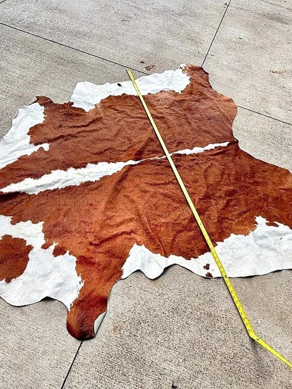 Brown/Red & White Cowhide Rug